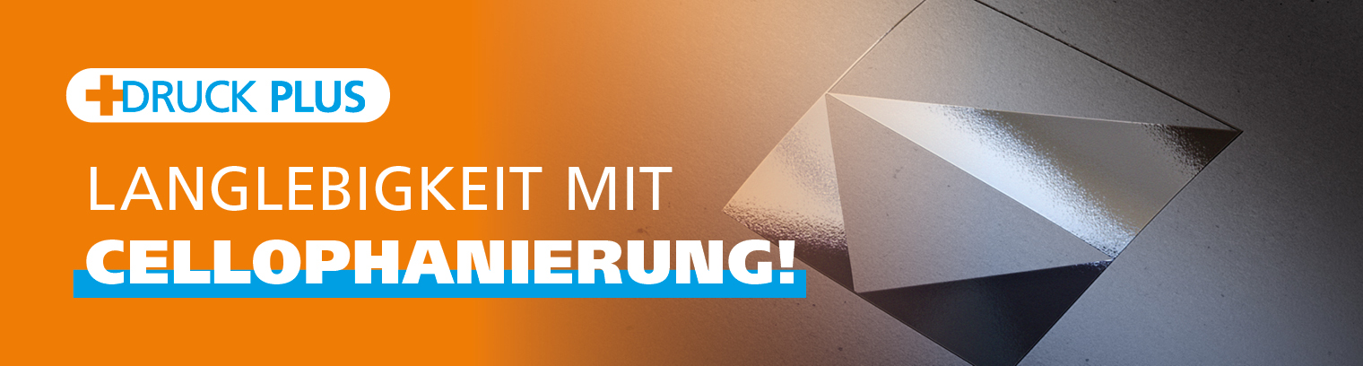 DKN24234 Cellophanierung-Blog-Beitragsbild